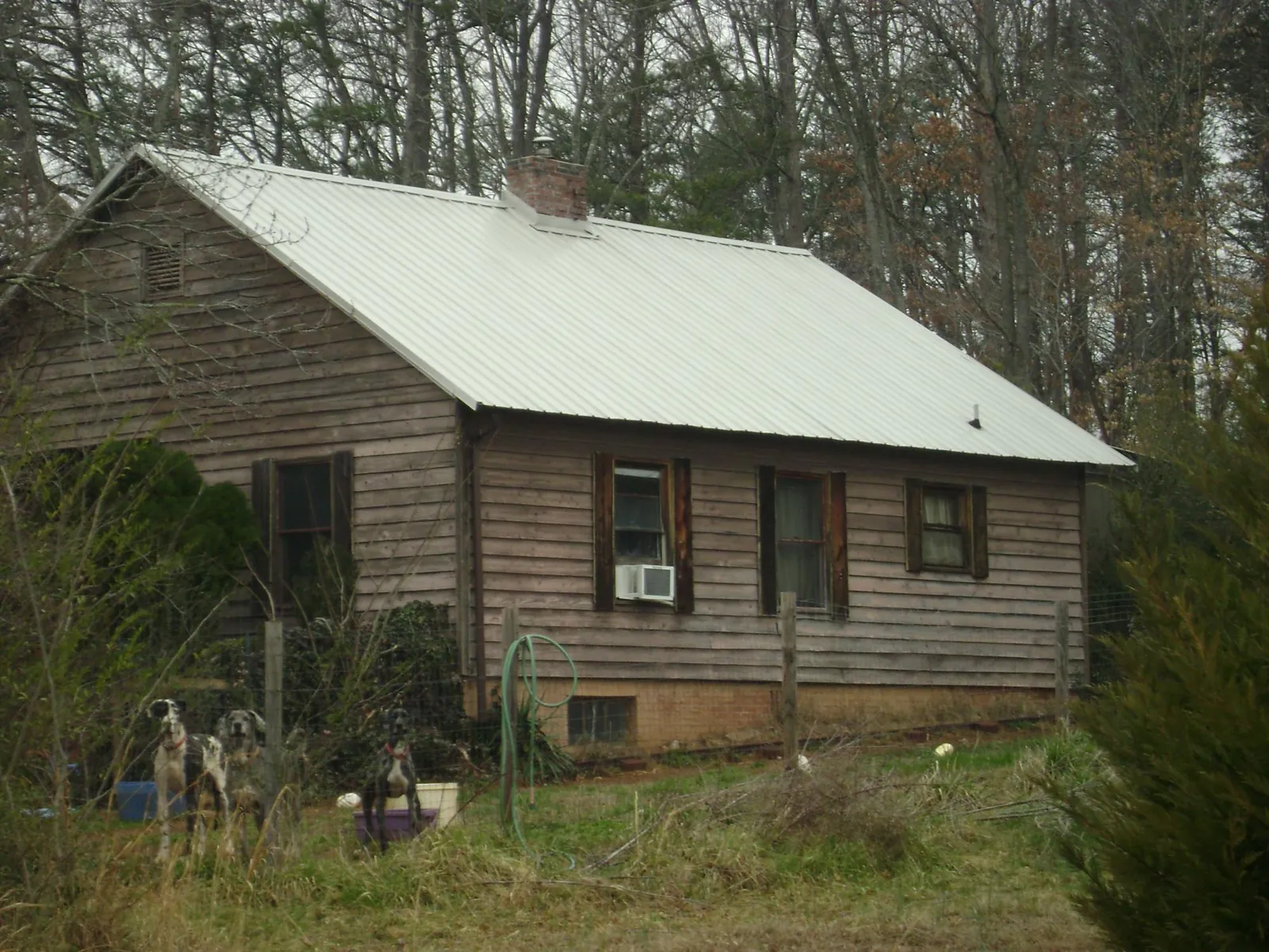 White metal roof on an old wood sided farmhouse, from a Asphalt Shingle Roof Repair job in Welda